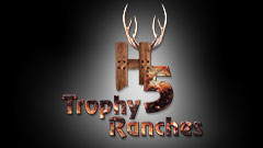 IdentitySolutions_H5